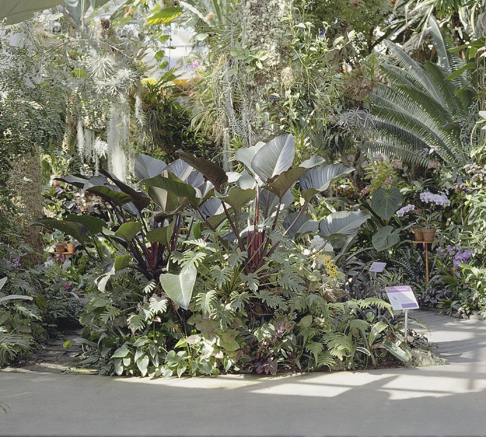outing-botanical.jpg