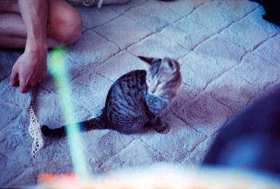 first-outing-23.jpg