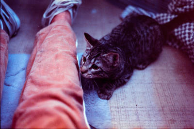 first-outing-31.jpg