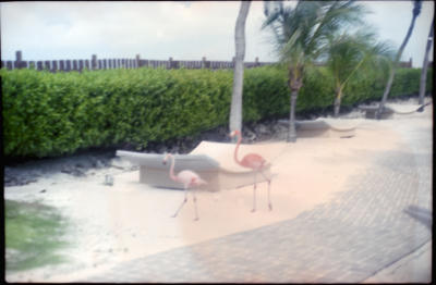 aruba-6.jpg