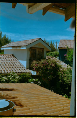 belize-51.jpg