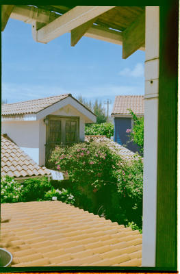 belize-58.jpg