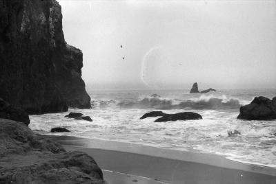 beach.jpg