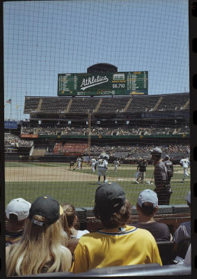 cali-03.jpg