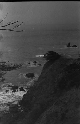 cali-35.jpg