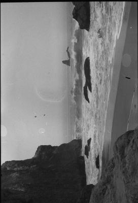 cali-49.jpg