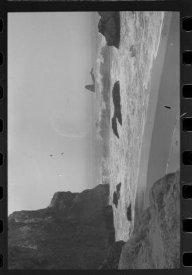 cali-51.jpg