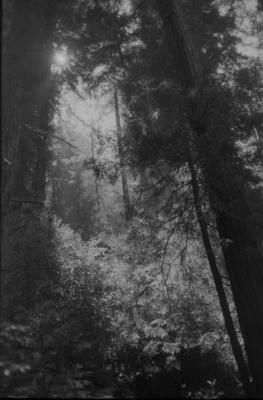 cali-63.jpg
