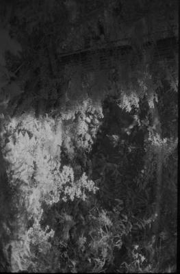 cali-66.jpg
