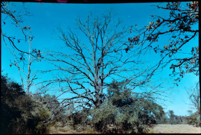 hgb-18.jpg