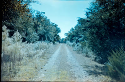 hgb-20.jpg