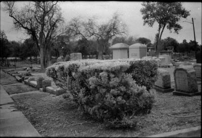 infared-like-2.jpg