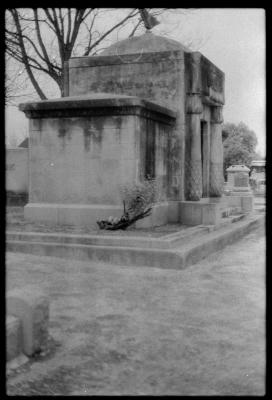 infared-like-3.jpg