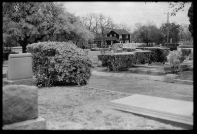 infared-like-4.jpg