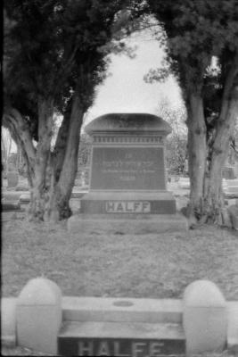 infared-05.jpg