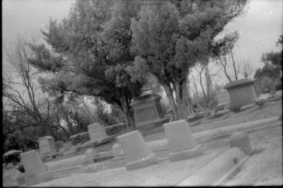 infared-06.jpg