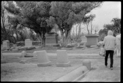 infared-07.jpg