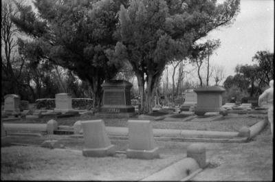 infared-08.jpg