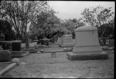 infared-09.jpg