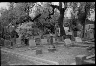 infared-11.jpg