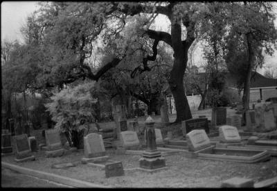 infared-12.jpg