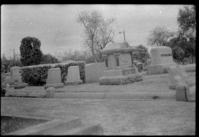 infared-13.jpg