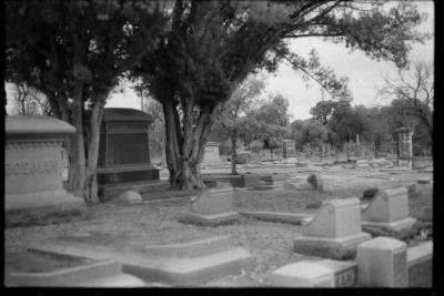 infared-17.jpg