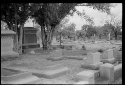 infared-18.jpg