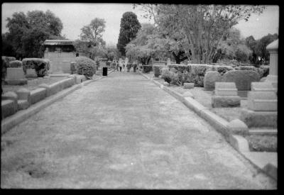 infared-21.jpg