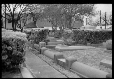 infared-29.jpg