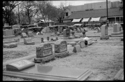 infared-31.jpg