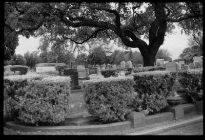 infared-33.jpg