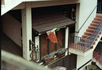 pborrego_color_06.jpg