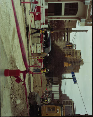 pborrego_color_08.jpg