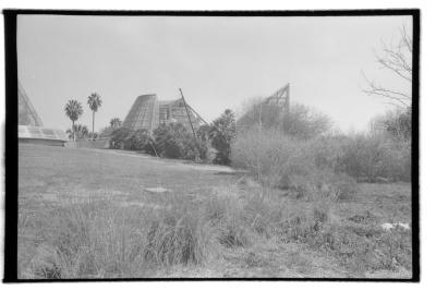 canonet-10.jpg