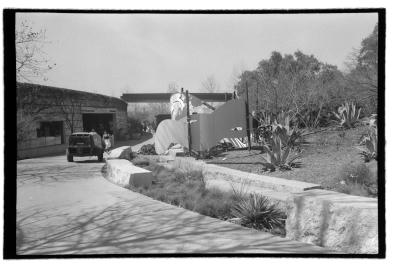 canonet-11.jpg