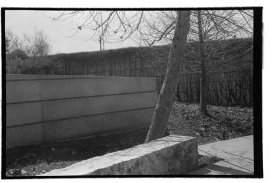 canonet-12.jpg