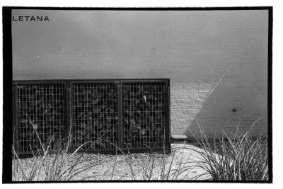 canonet-14.jpg