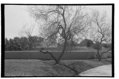 canonet-2.jpg