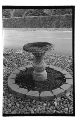 canonet-21.jpg