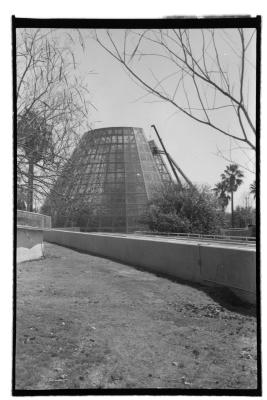 canonet-3.jpg