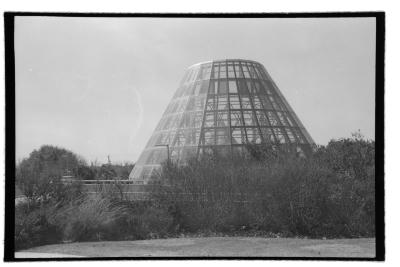 canonet-4.jpg