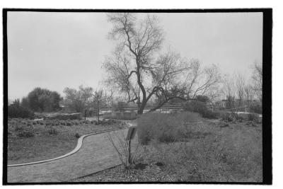 canonet-5.jpg