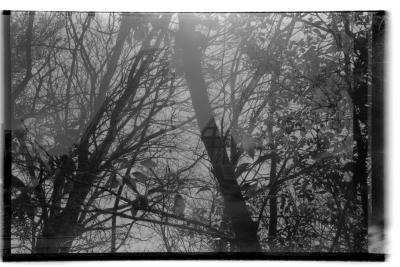 canonet-7.jpg