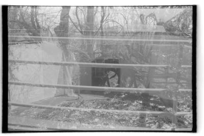 canonet-8.jpg