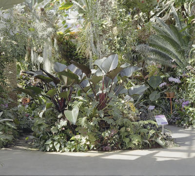 outing-botanical.jpg